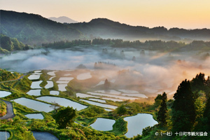 Tokamachi City