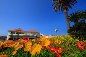 Tateyama City