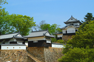 takahasi