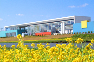 Tako Town