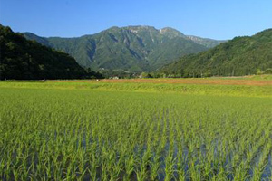Minamiuonuma City